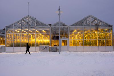 Greenhouse Installation detail