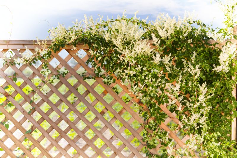 Grape Trellis Installation in Kansas City, KS