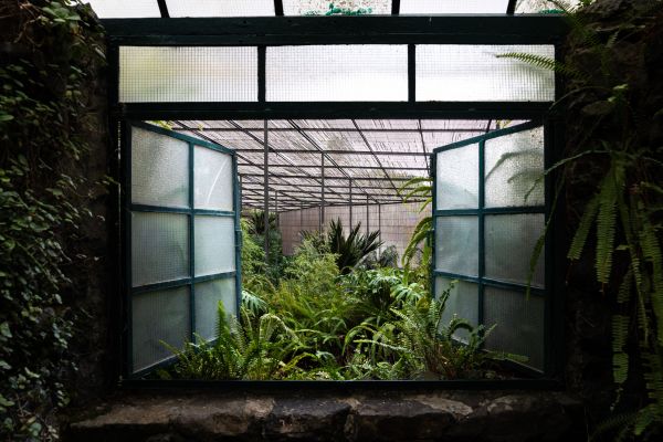 Greenhouse Window Repair