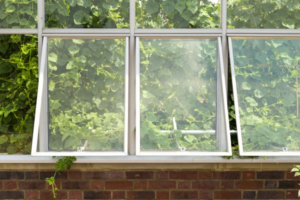 Greenhouse Window Replacement